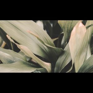 Meet your Posher, Kaylee